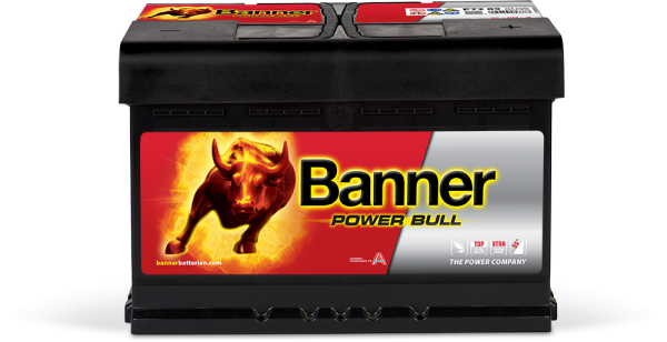 PKW Starterbatterie Banner Power Bull P7209 kaufen@Scholich